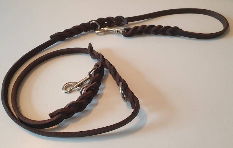 May include: A brown leather dog leash with a braided design and two metal clips.