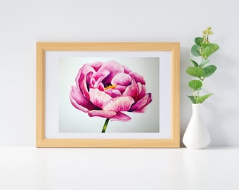 Pintura de acuarela peonía