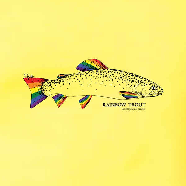 Gay Pride Rainbow - Etsy