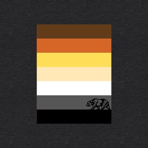 Bear Pride T-Shirt, Gay Pride, Bear Pride Flag Colors with Small Silhouette of Bear