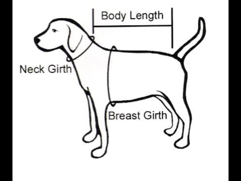 Wool dog sweater size S warm sweater for a small dog warm Etsy