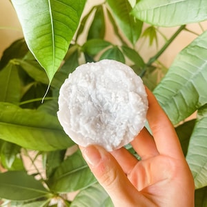 May include: A white, round, solid, handmade soap bar with a textured surface. The soap is in a hand.