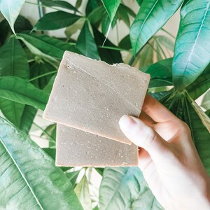 May include: Two square bars of handmade soap, held against a backdrop of lush green leaves. The soap has a light brown colour and a textured surface, suggesting natural ingredients. The image highlights the soap's organic aesthetic.
