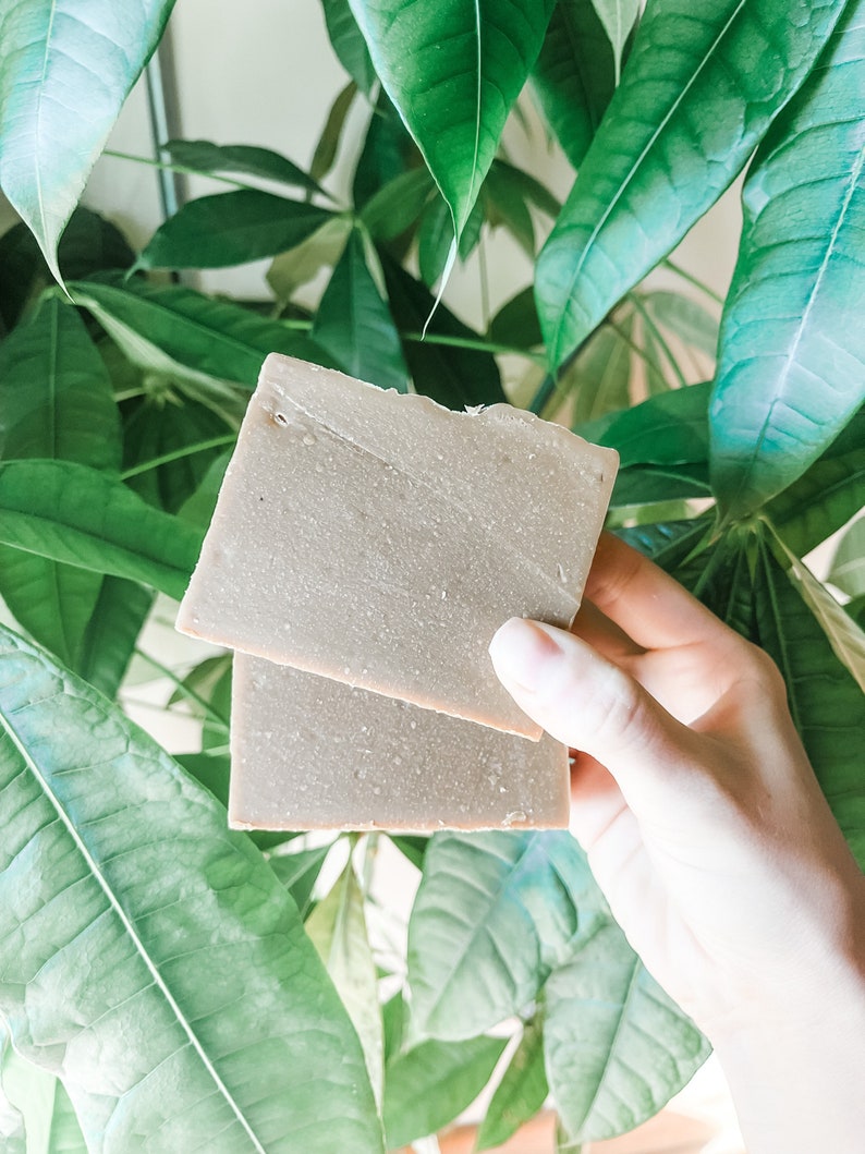 May include: Two square bars of handmade soap, held against a backdrop of lush green leaves. The soap has a light brown colour and a textured surface, suggesting natural ingredients. The image highlights the soap's organic aesthetic.