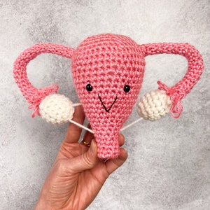 Crochet Uterus Plush with Ovaries, Crochet Midwife or Doctor Gift, Uterus Gag Gift, Knit Body Organ