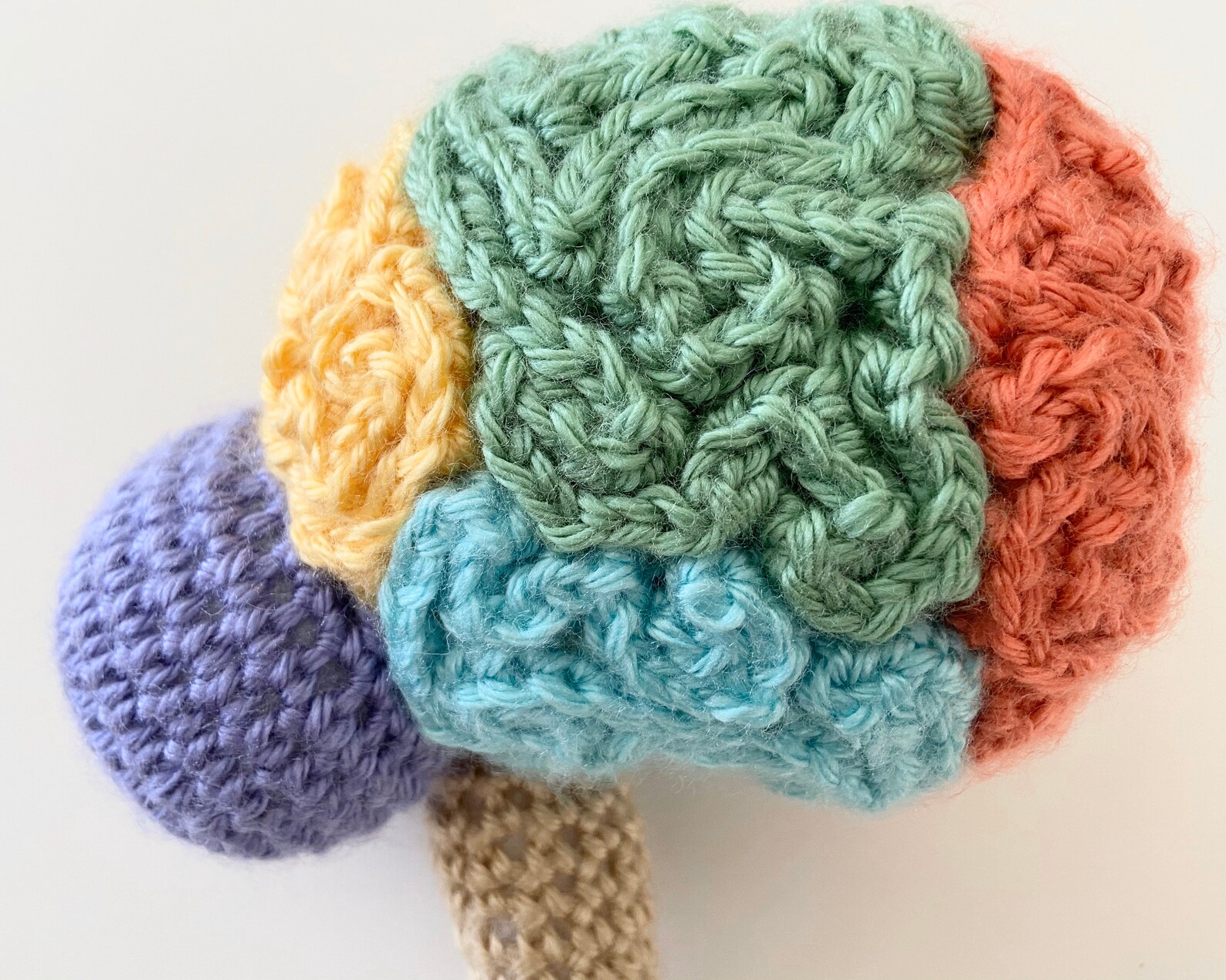 Crochet Anatomical Brain Plush Knit Brain Lobe Anatomically Etsy