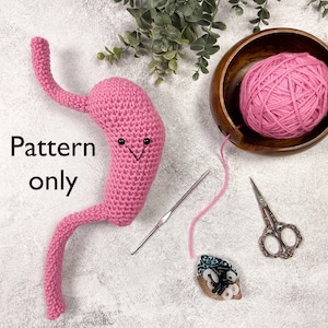 Crochet Anatomical Stomach- PDF PATTERN | Crochet Anatomy, Body Parts, Medical, Doctor, Nurse, Digestive System Anatomy Model Patterns