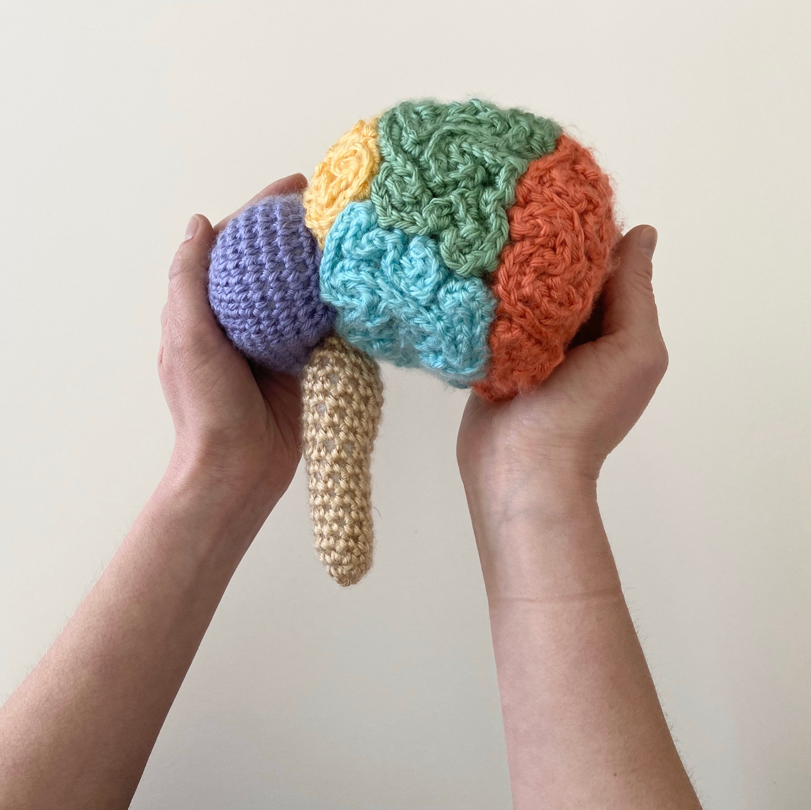 Crochet Anatomical Brain Plush Knit Brain Lobe Anatomically Etsy