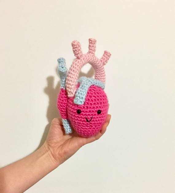 anatomical heart plush