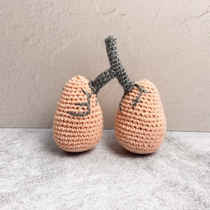 Crochet Anatomical Lungs PDF PATTERN Crochet Anatomy, Body Parts, Medical Patterns image 2