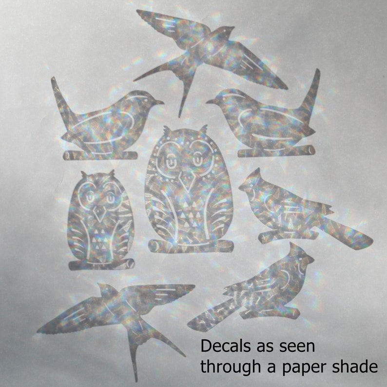 Birds Rainbow Prism Window Decals Set of 8 Prevent Bird Etsy