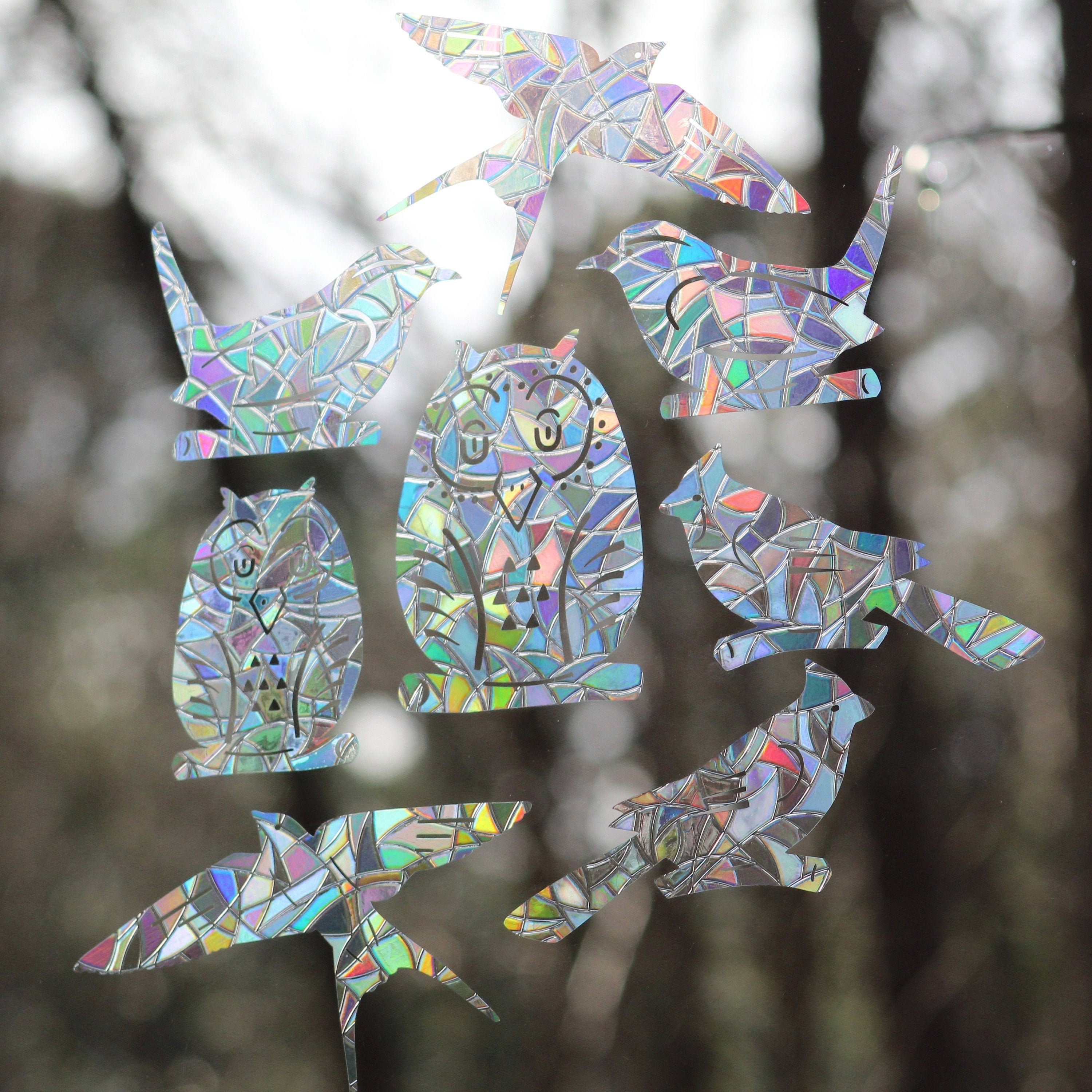 Birds Rainbow Prism Window Decals Set of 8 Prevent Bird Etsy