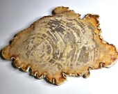Petrified Wood Serving Platter 15&quot; x 11&quot;  (PW104) -  Cheese Board, Charcuterie Board, Indonesian Petrified Wood