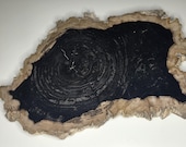 Petrified Wood Serving Platter 16" x 12"   (PW115) -  Cheese Board, Charcuterie Board, Cutting Board, Indonesian Petrified Wood