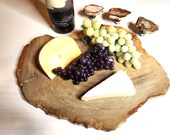 Petrified Wood Serving Platter 15&quot; x 12&quot; (PW62) -  Cheese Board, Charcuterie Board, Cutting Board, Indonesian Petrified Wood