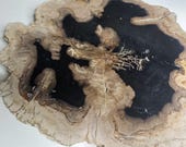 Petrified Wood Serving Platter 12&quot; x 12&quot; (PW103) -  Cheese Board, Charcuterie Board, Indonesian Petrified Wood