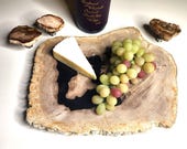 Petrified Wood Serving Platter 12.5" x 9" (PW89) -  Cheese Board, Charcuterie Board, Cutting Board, Indonesian Petrified Wood