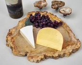 Petrified Wood Medium Size Serving Platter and Display Piece -  Cheese Board, Indonesian Petrified Wood (PW49)