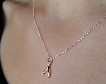 Tiny Wishbone Sterling Charm Necklace- Good Luck Charm- Minimalist Wishbone