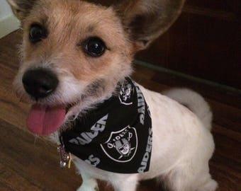 raiders dog shirt