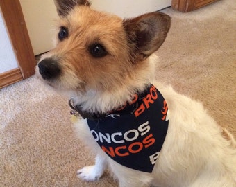 dog broncos jersey