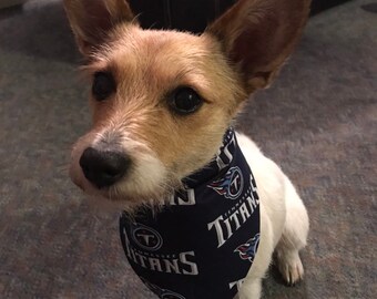 titans dog jersey