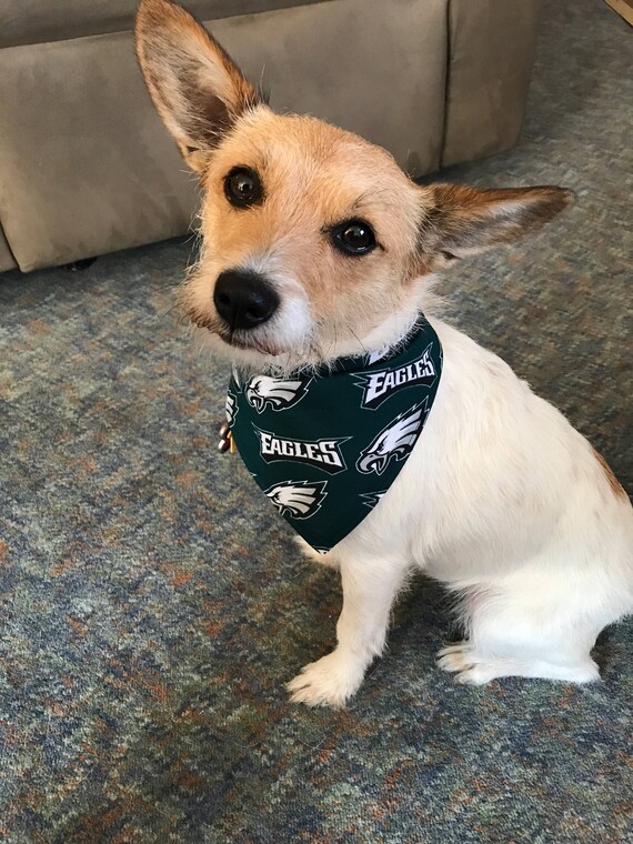 eagles bandana for dogs