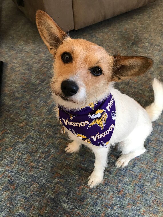 vikings dog jersey
