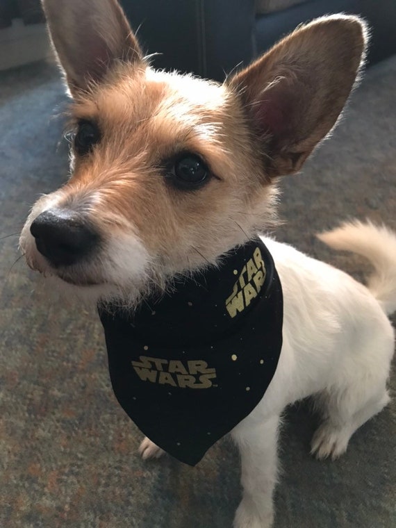 star wars dog bandana