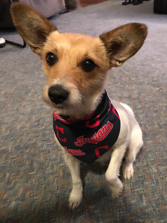 cleveland indians dog jersey