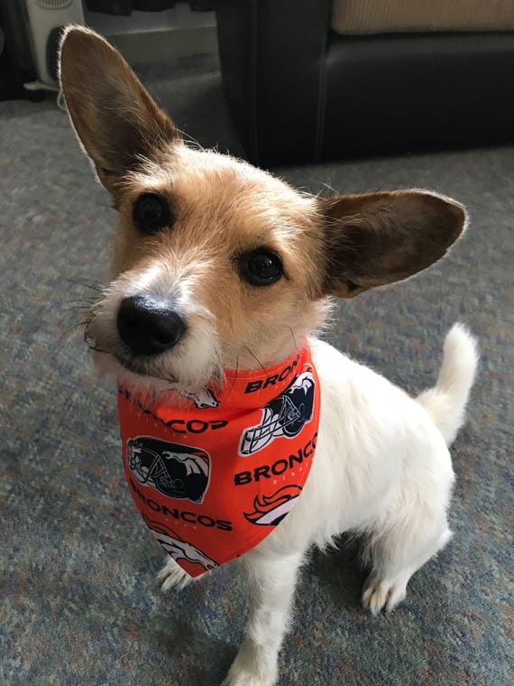 denver broncos dog jersey