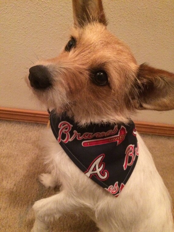 atlanta braves dog jersey