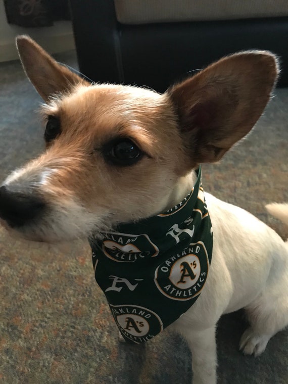 oakland a's dog jersey