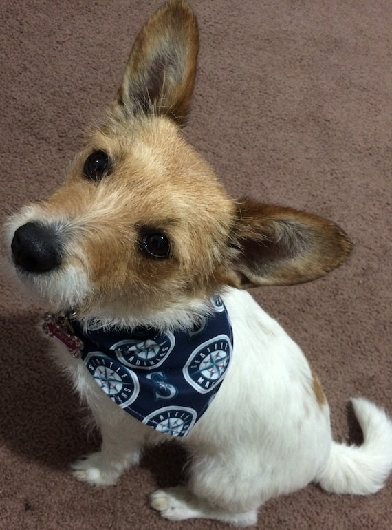 seattle mariners dog jersey