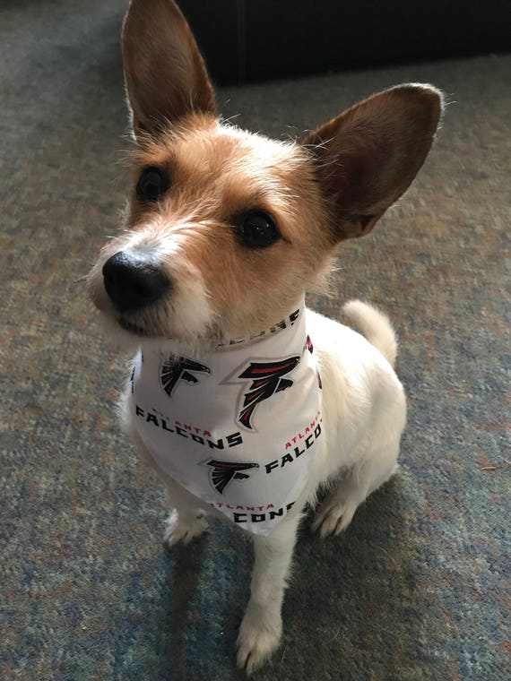 falcons dog jersey