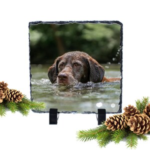 Slate photo plaque, dog loss gift, dog memorial, pet memorial gift, in loving memory of, pet loss gift, pet photo gift, pet sympathy gift