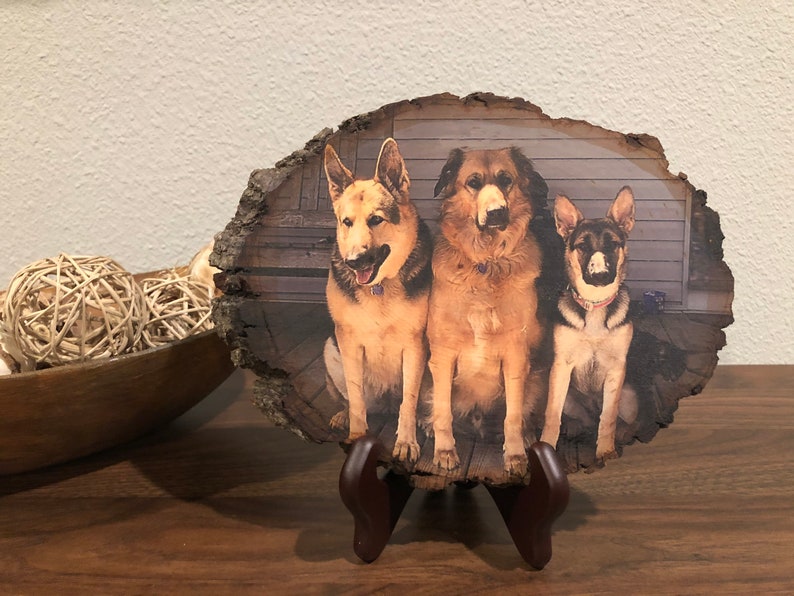 Wood photos, photos on wood, memorial gifts, memorial keepsakes, sympathy gifts, bereavement gifts, remembrance gifts, pet memorial image 2