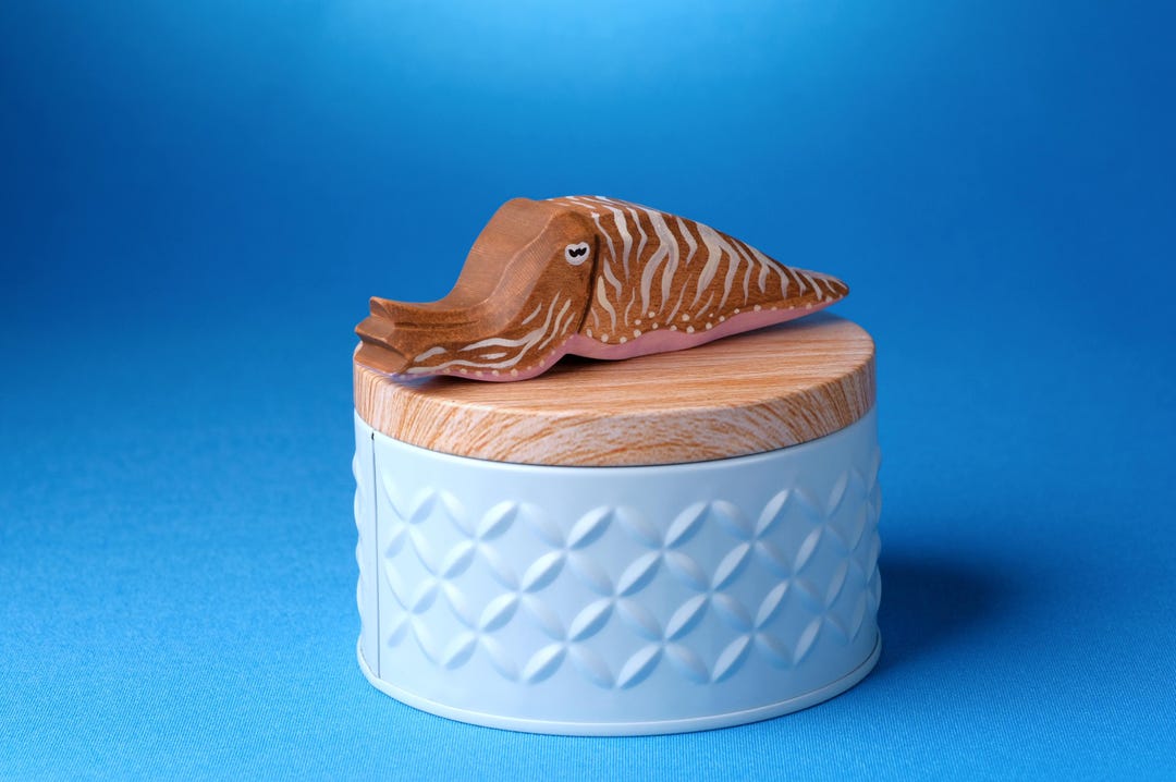 Cuttlefish Toy - Marine Figurines - Waldorf Inspired - Open Ended Play ...
