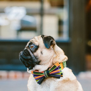 Dog Bow Tie + Collar Set | Stripes