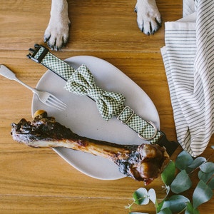 Dog Bow Tie + Collar Set | Wrapped in Joy Green