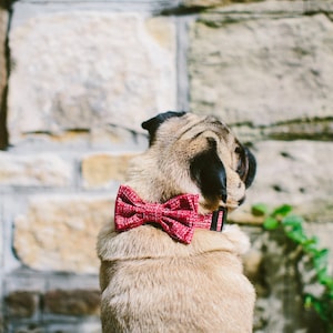 Dog Bow Tie Collar Set Mini Weave Red image 1