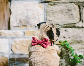 Dog Bow Tie + Collar Set | Mini Weave Red