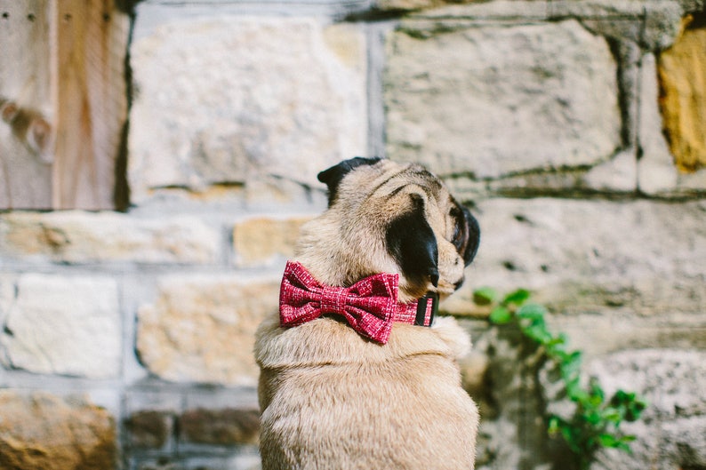 Dog Bow Tie Collar Set Mini Weave Red image 1