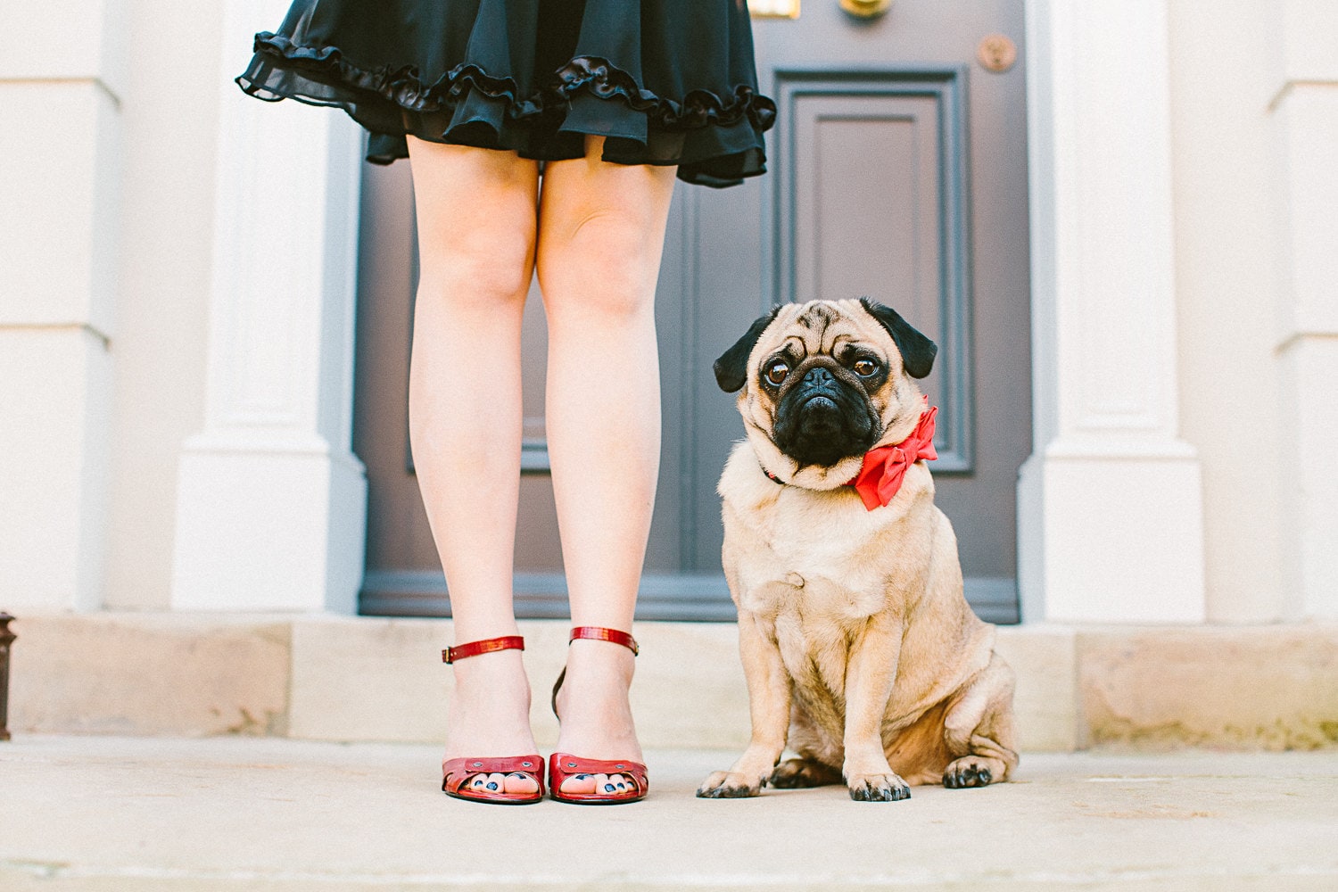 Dog Bow Tie + Collar Set | Rouge