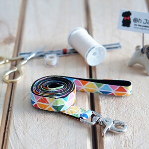 Dog Leash | Rainbow Diamond