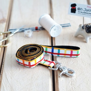 Hund Leine | Regenbogen-Gitter