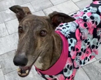 Greyhound Halloween - Greyhound Clothing - Pet Halloween - Hot Pink Skulls Dress - Greyhound Size