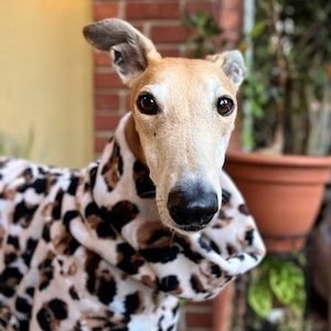 Greyhound Coat - Fleece Coat For Greyhound - Dog Jacket - Greyhound Clothing - Modern Leopard for Dog - Pet Clothing - Greyhound Jacket