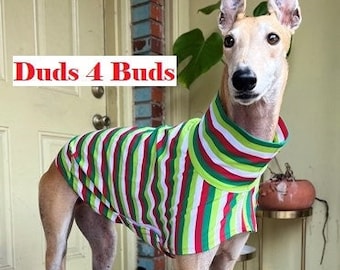 Greyhound Clothing - Greyhound Christmas - Dog Christmas - Christmas Stripes - Greyhound Size