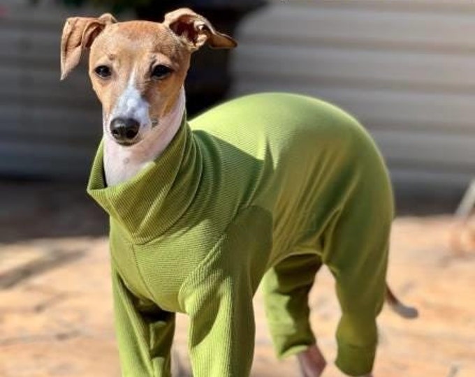 Italian Greyhound Clothing - Dog Pajama - Small Dog Clothes - Knit Onesie For Dog - Pet Clothing - Knit PJ for Dog - Olive Green